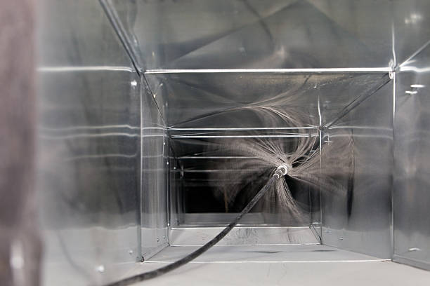 Best Air Duct Mold Removal  in Claysburg, PA